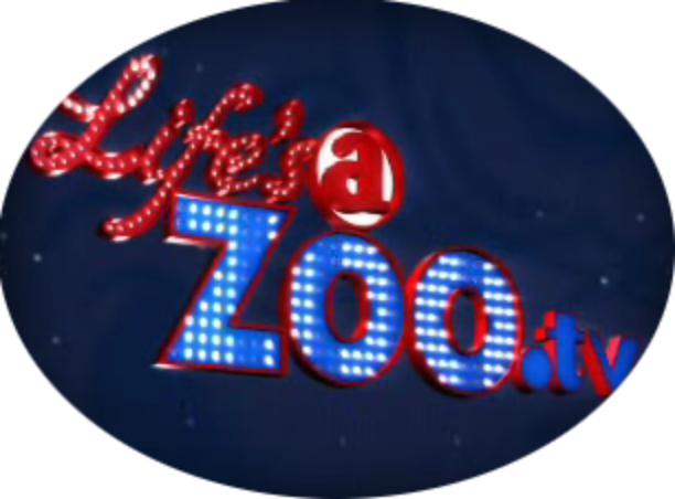 Life\'s a Zoo 